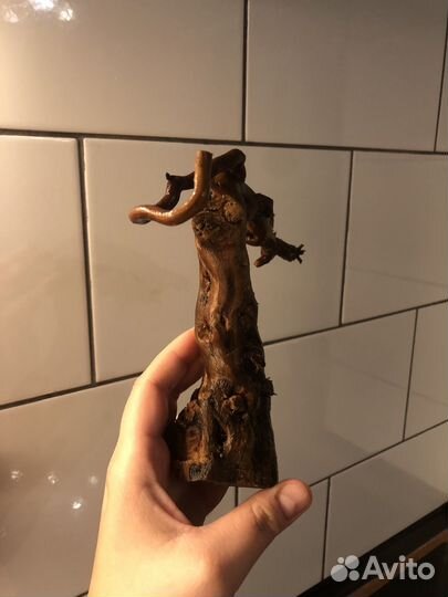 Коряга в аквариум