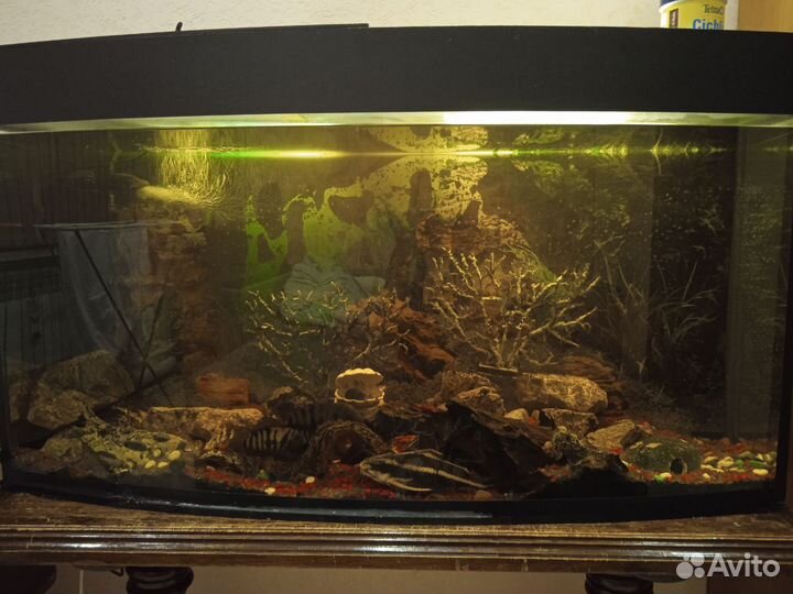 Аквариум