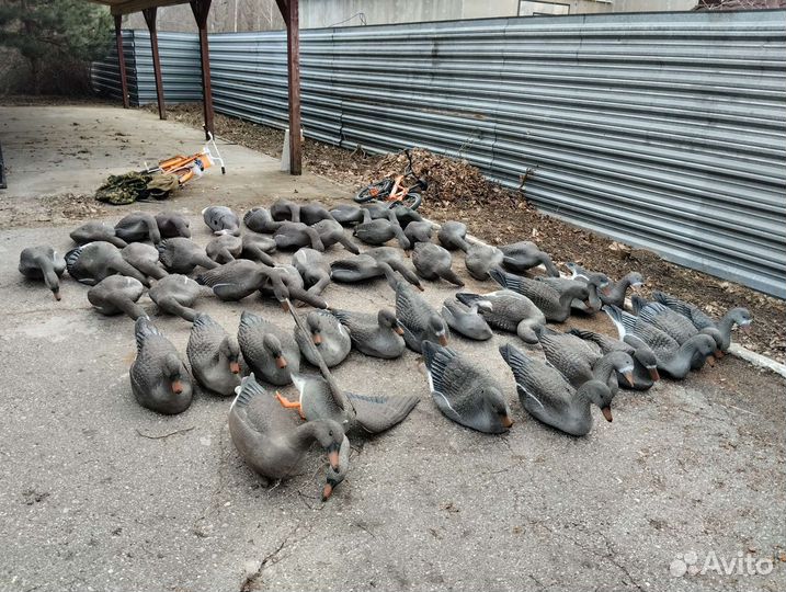 Чучела гусей sportplast