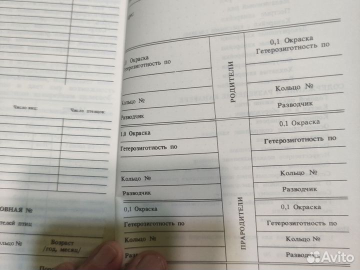 Певчие и декоративные канарейки