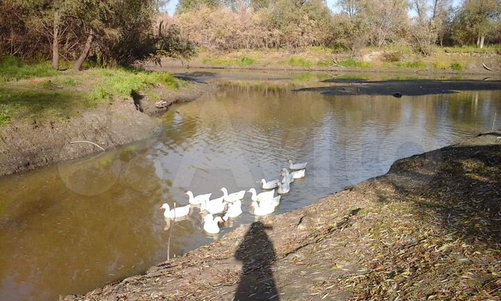 Дача 49,7 м² на участке 6 сот.