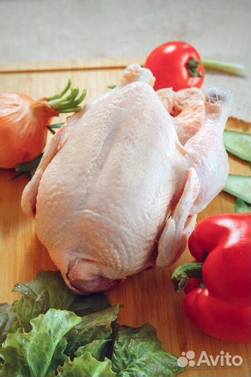 Куры бройлеры