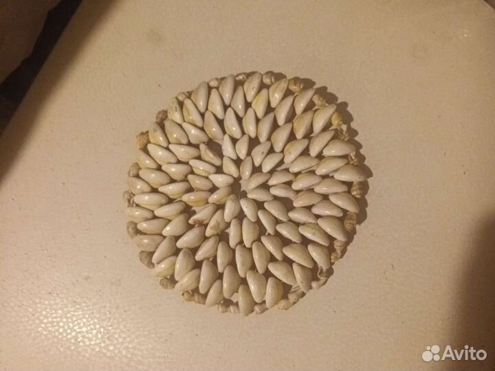 Подставка под горячее из ракушек