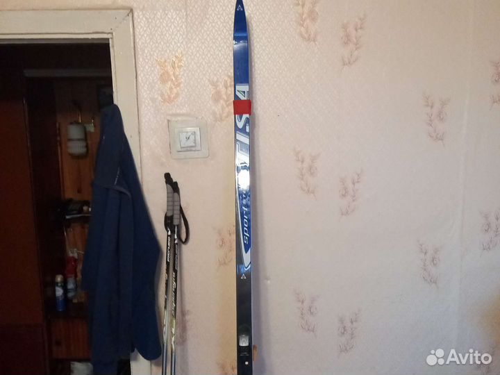 Лыжи беговые Fisher Tisa