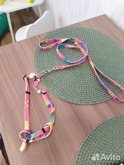 Шлейка для кошки