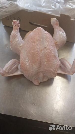 Тушка цыпленка бройлера (охлажденная)