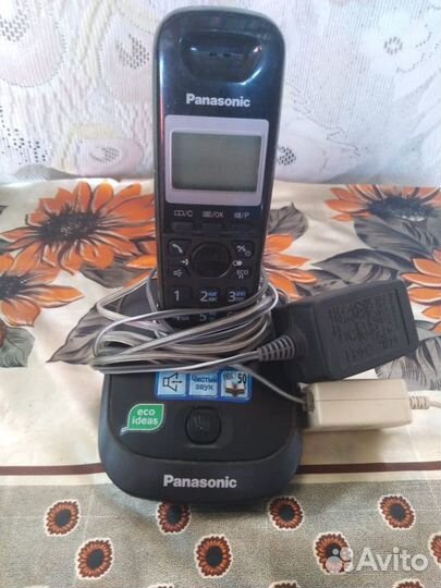Panasonic