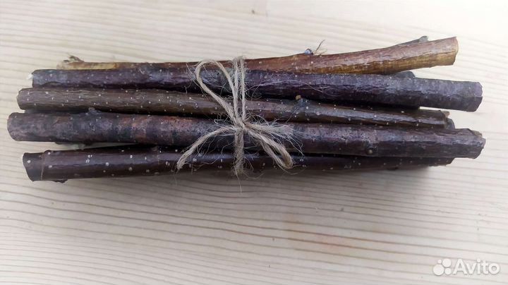 Берёзовые ветки для грызунов и попугаев