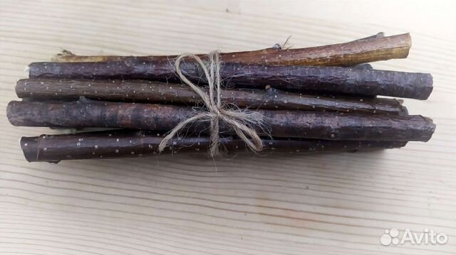 Берёзовые ветки для грызунов и попугаев