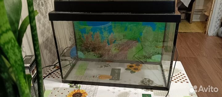 Аквариум