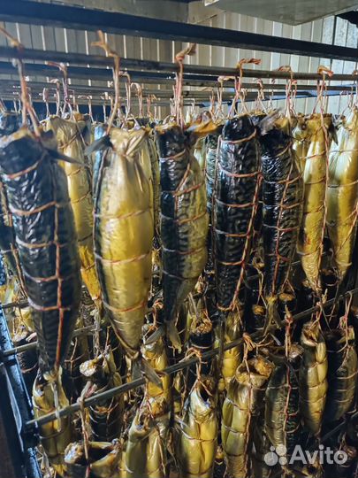 Копченая рыба