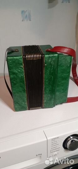 Гармонь детская