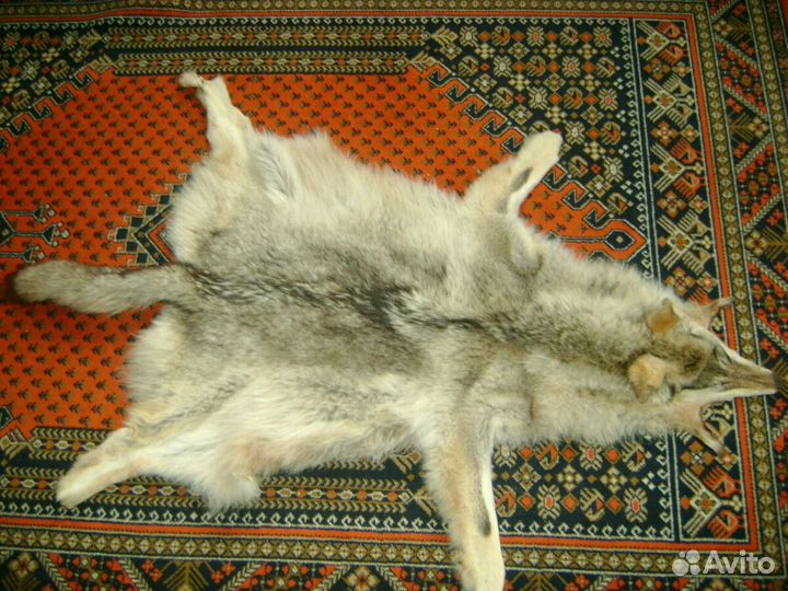Шкура волка