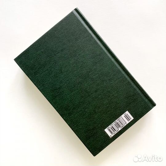 Книга «Одиссея Капитана Блада»