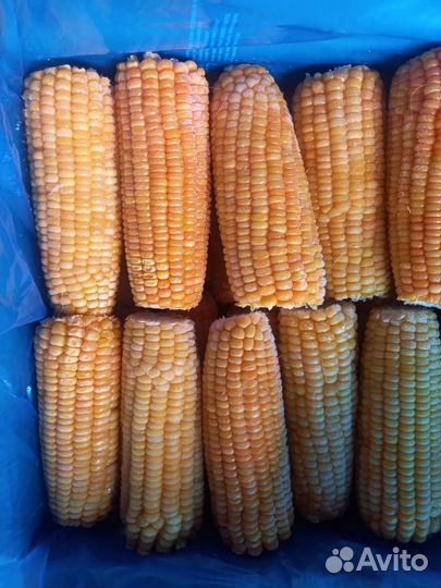 Кукуруза замороженная в початках