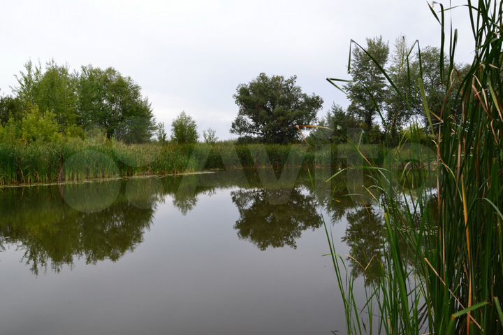 Участок 88,2 га (СНТ, ДНП)