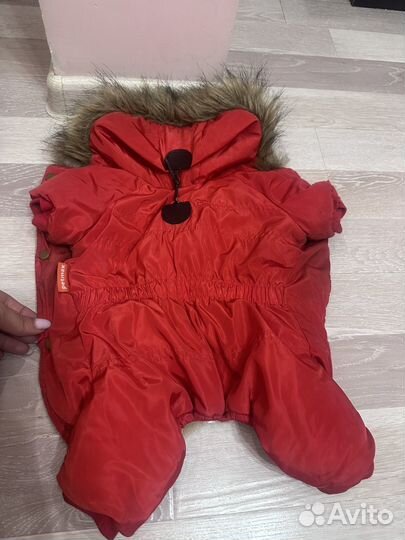 Комбинезон для собак маленьких пород