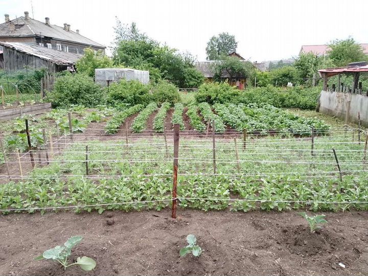 Дом 108,6 м² на участке 10 сот.