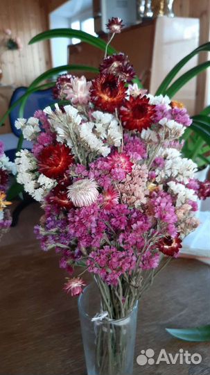 Букет цветы статица