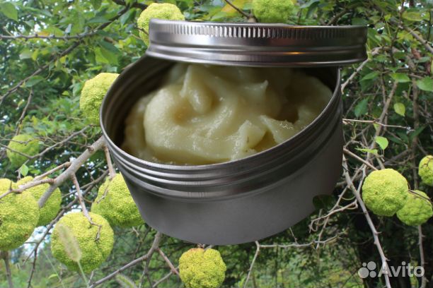 Мазь маклюры