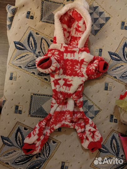 Одежда для маленьких собак пакетом