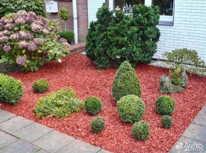 Кора сосновая