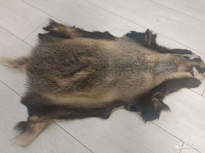 Натуральная шкура барсука, интерьерная, подарочная