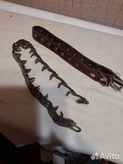 Ошейник для собаки