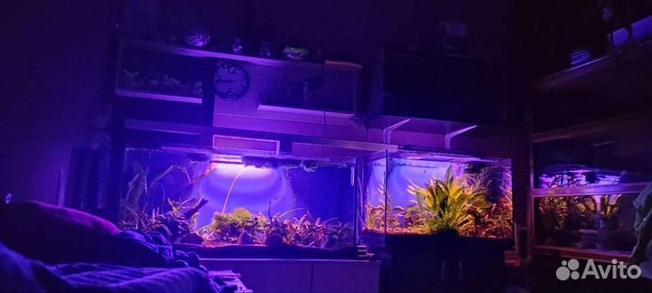 Аквариумы, фильтра, компрессоры и прочее