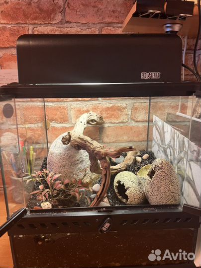 Террариум для рептилий exoterra