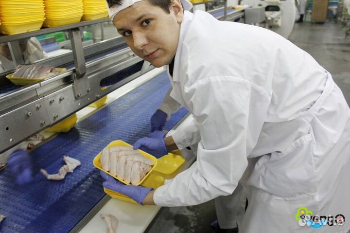 Упаковщик/ца на птицефабрику/ питание