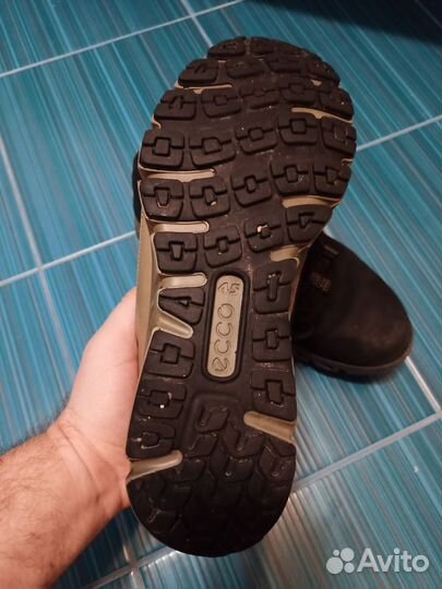 Ecco multi vent оригинал