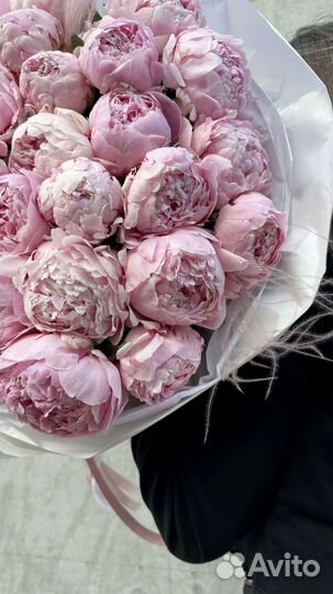 Букет из пионов. 31 штука