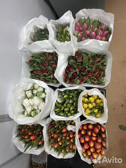 Цветы оптом