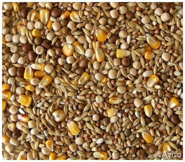 Корма для сельскохозяйственных животных