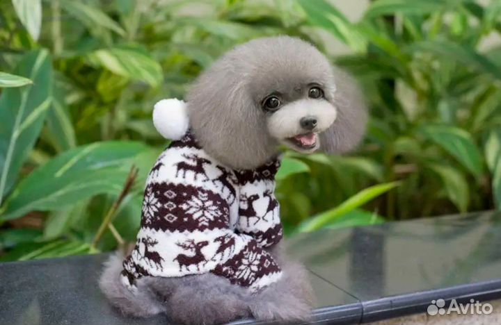 Кофты дождевики для собак и кошек