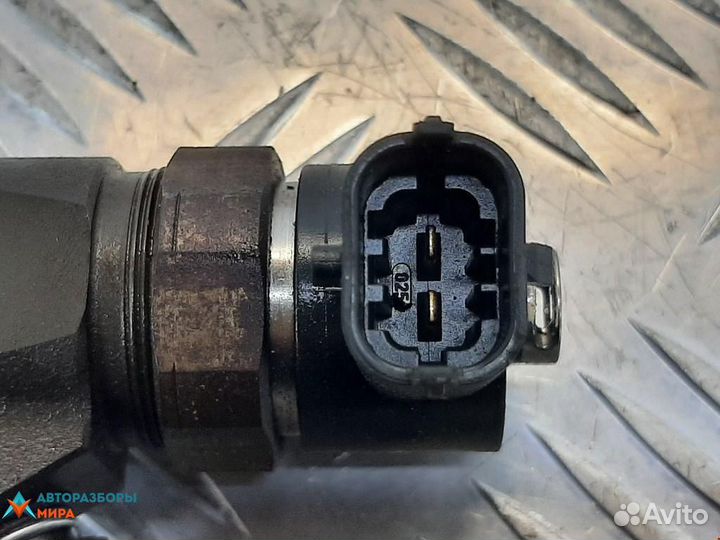 Форсунка Opel Insignia (A) 2010 55566050