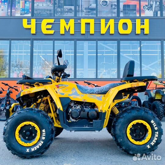 Квадроцикл Motoland Wild 200 Winch новый