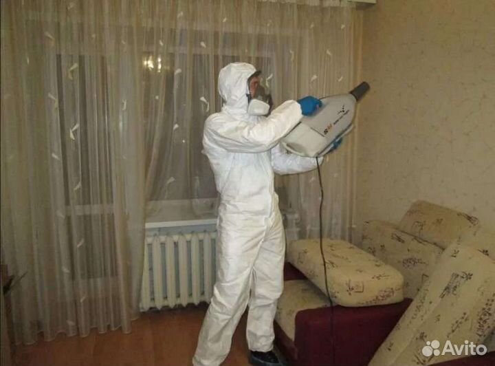 Уничтожение Тараканов Клопов Блох Клещей Плесени