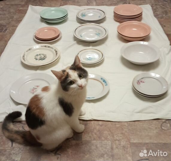 Посуда для аристократической трапезы