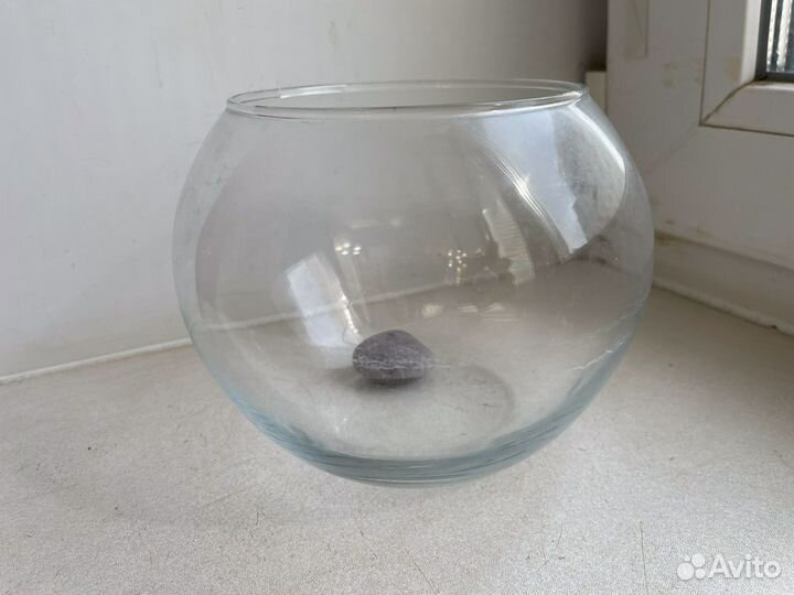 Аквариум ваза