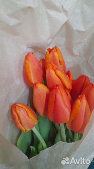 Тюльпаны к 8 марта оптом
