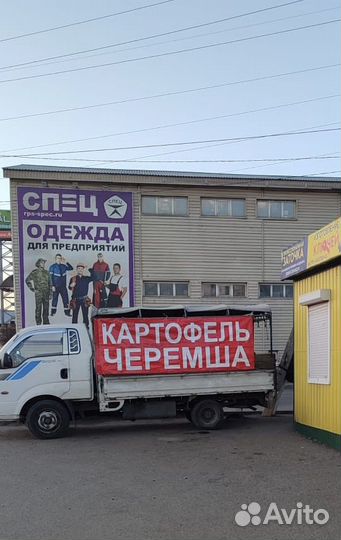 Продажа черемши, картофеля