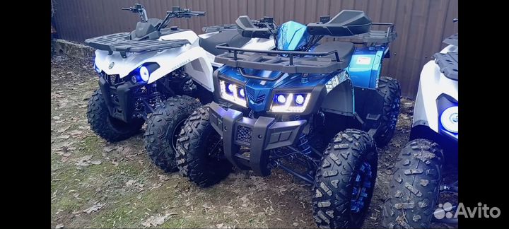 Прокат квадроциклов