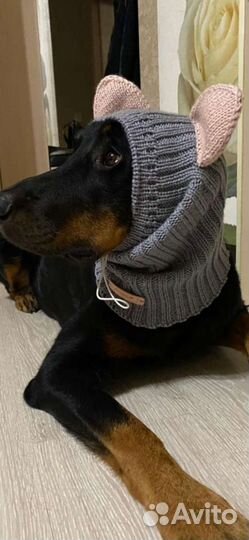 Вязаная одежда для животных на заказ