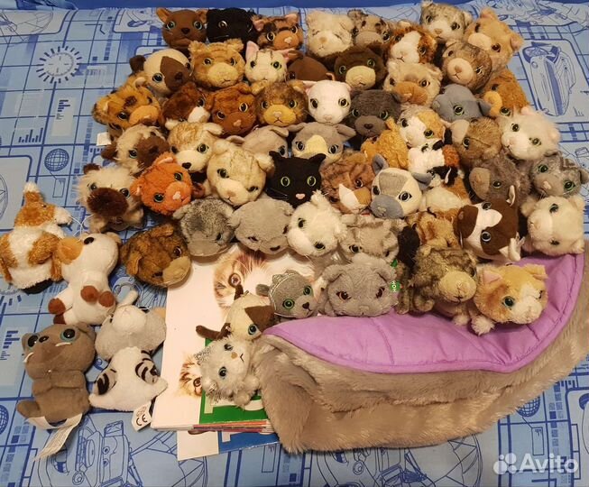 The cat collection