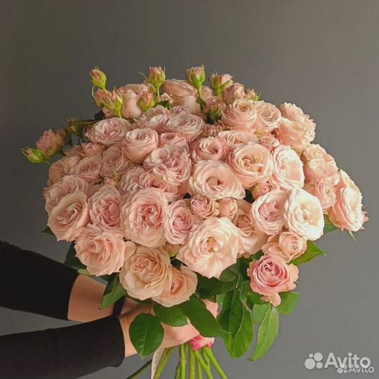 Пионовидные розы букет пионовидных роз