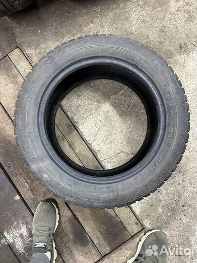 Gislaved Nord Frost 5 205/55 R16 94T