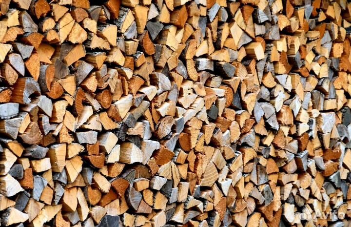 Дрова свежие