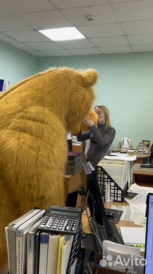 Поздравление от панды и бурого мишки